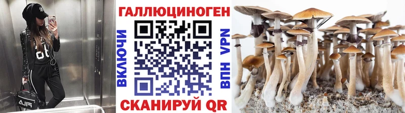 купить   Чаплыгин  Галлюциногенные грибы Psilocybe 